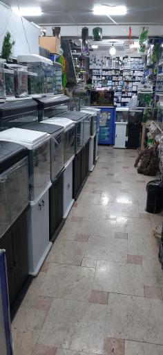 عکس آکواریوم بلو