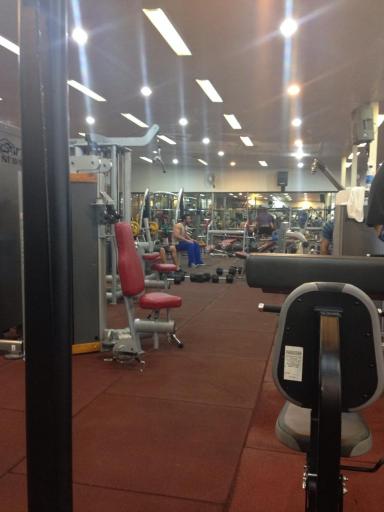 عکس باشگاه بدنسازی هیگر