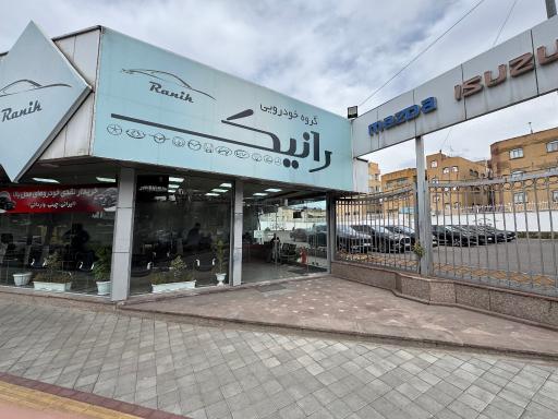گروه خودرویی رانیک