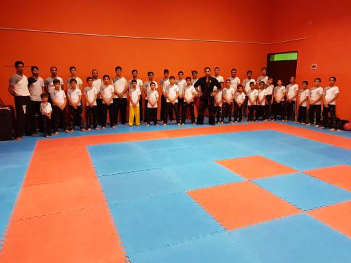 عکس باشگاه ووشو لیدر