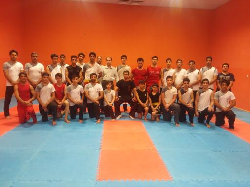 عکس باشگاه ووشو لیدر