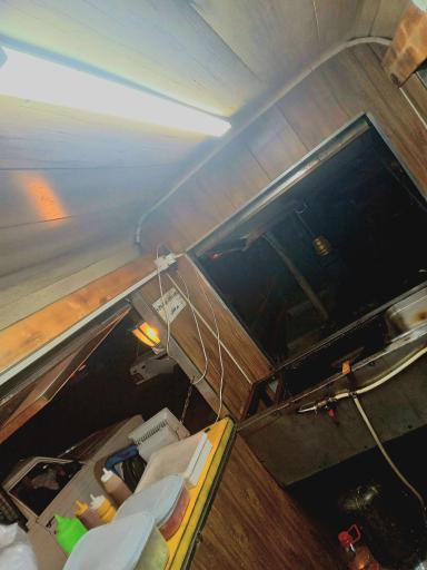 عکس فلافلی جقول بقول