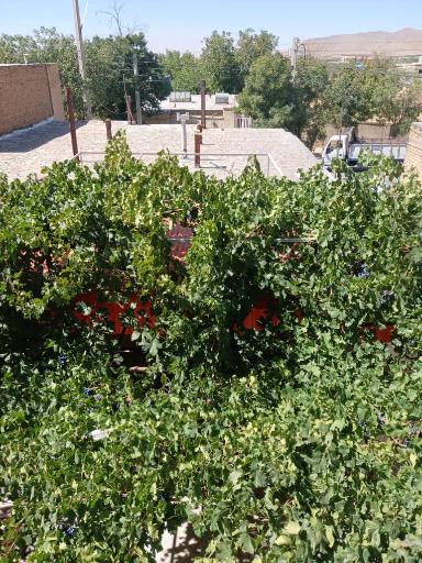 عکس سوئیت و خانه مسافر دنا