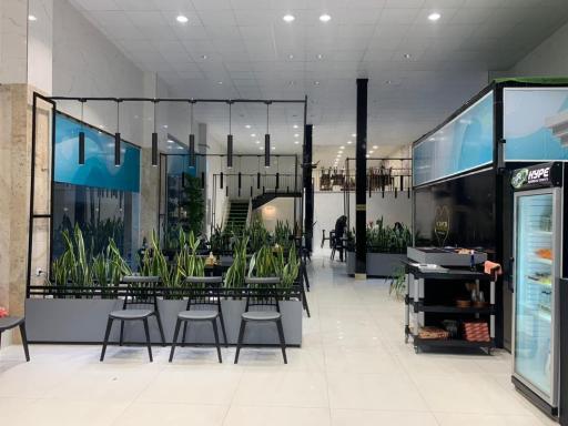 عکس پیتزا کایرا