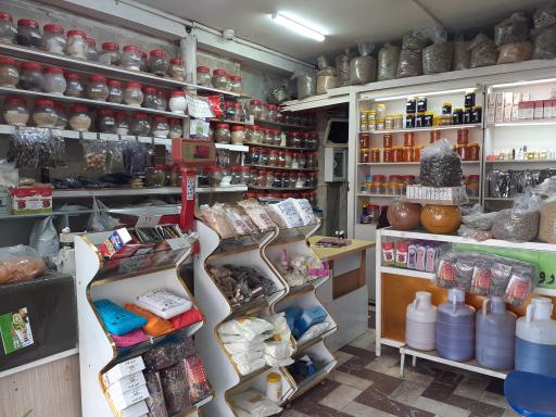 گیاهان دارویی شفا بخش