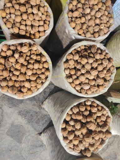 عکس خشکبار شاهوار