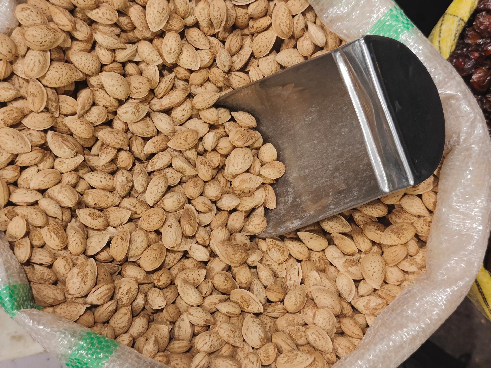 عکس خشکبار شاهوار