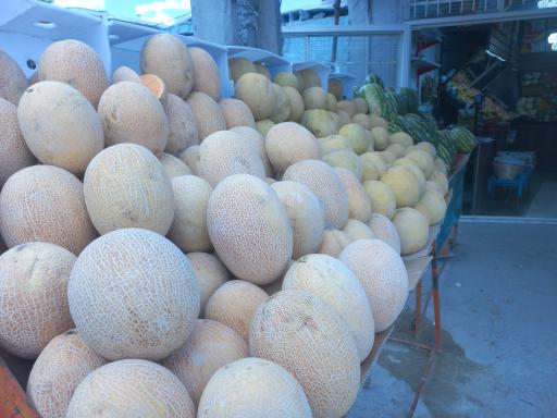 عکس میوه سرای بهارستان 