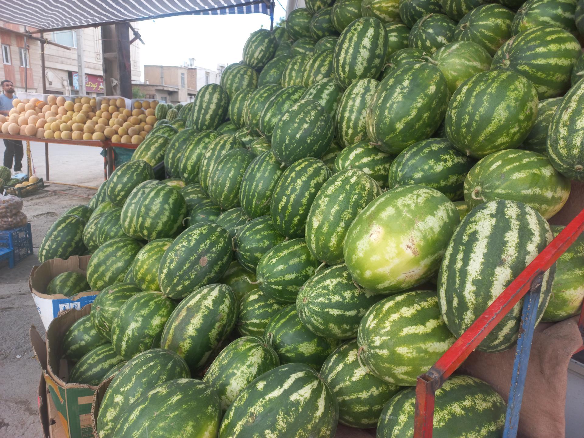 عکس میوه سرای بهارستان 