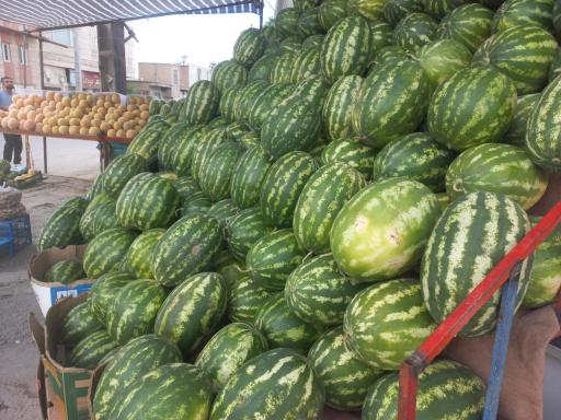 میوه سرای بهارستان 