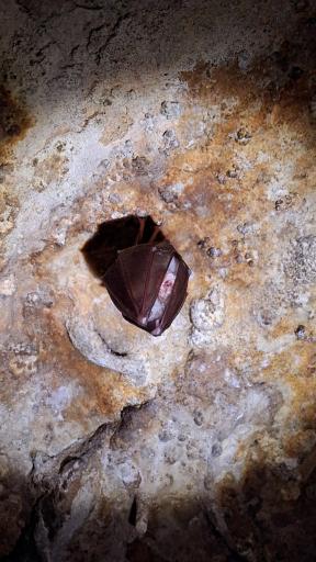 عکس غار مغان