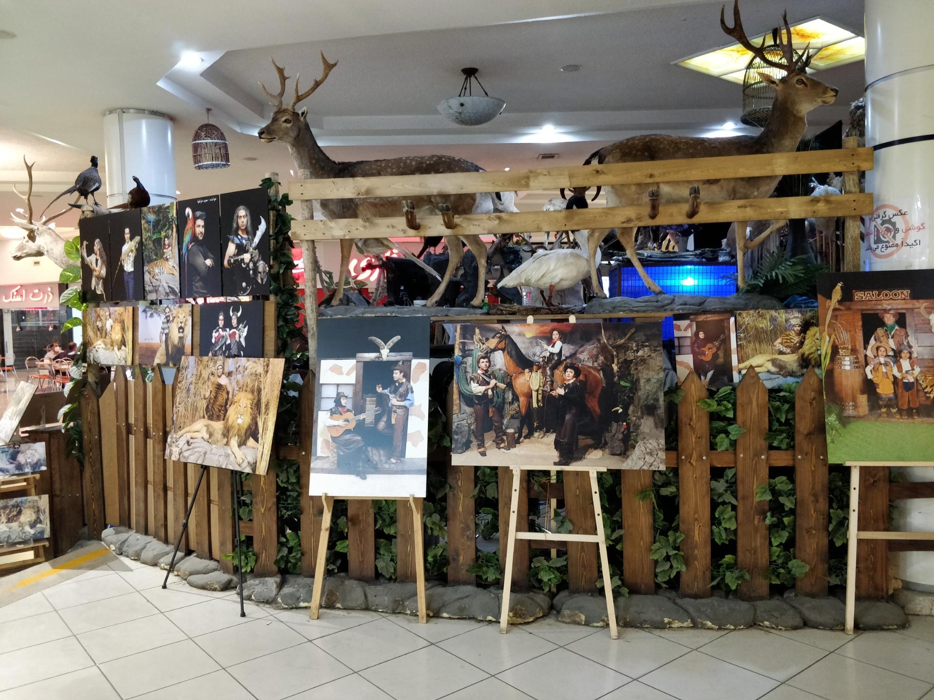 عکس عکاسی با حیات وحش کاراکل