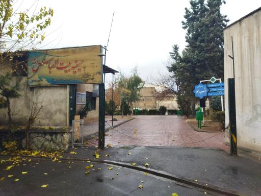 عکس بوستان شب بو