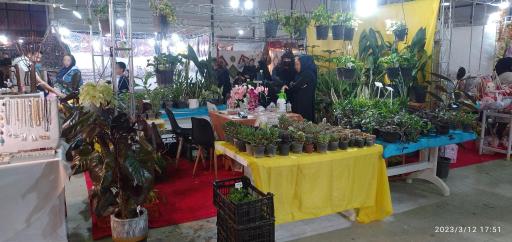 عکس گل و نهال ترزفان