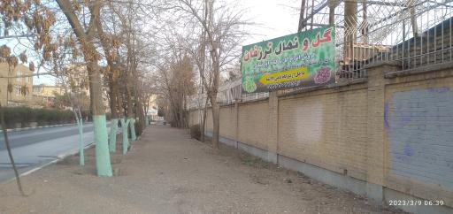 عکس گل و نهال ترزفان