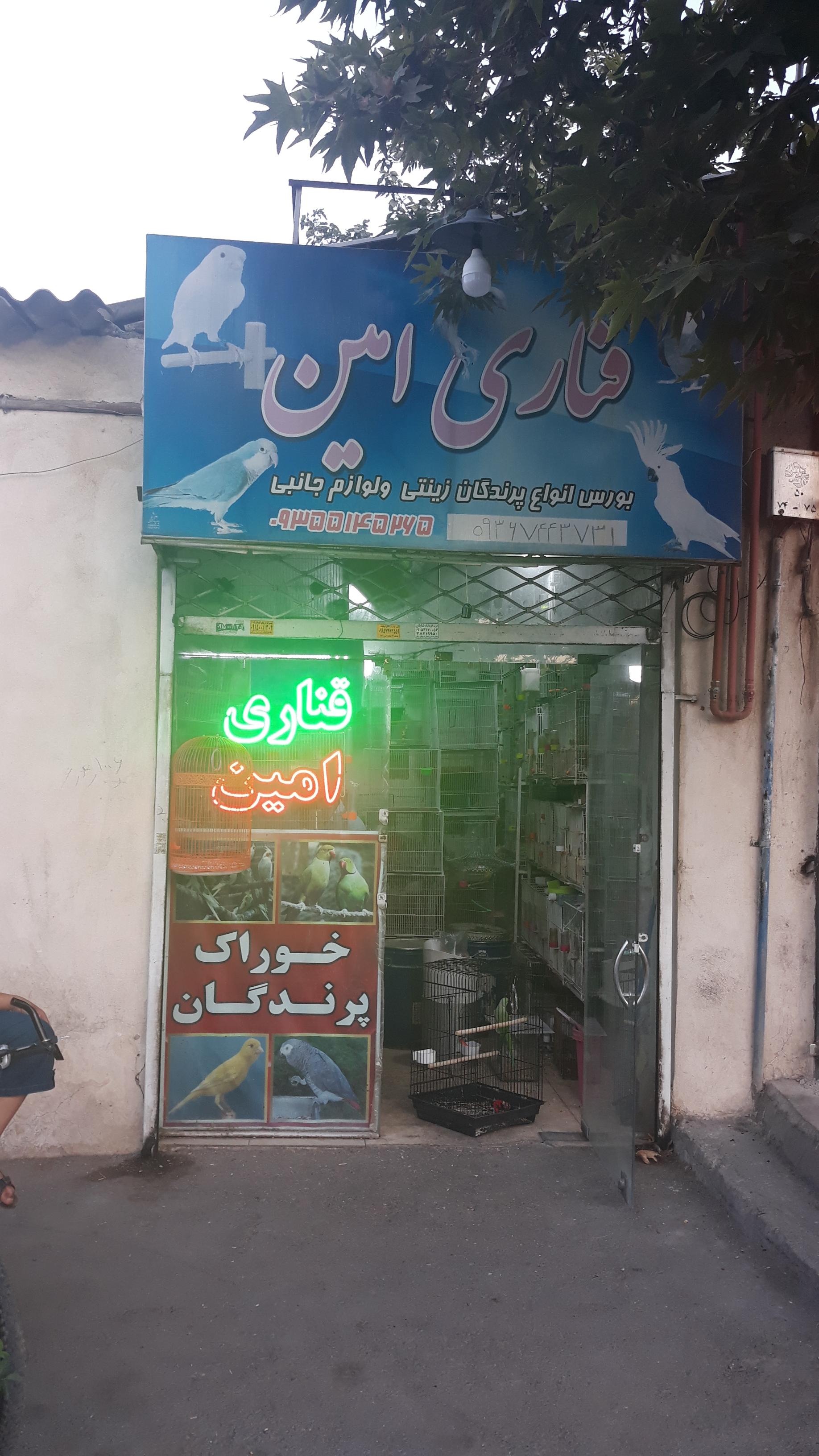 عکس فروشگاه پرندگان قناری امین