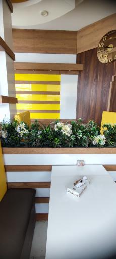 عکس پیتزا تنوری پارک وی