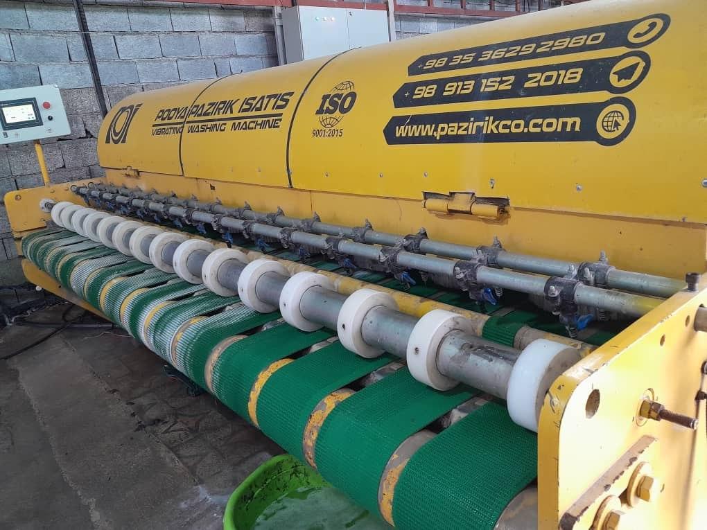 عکس قالیشویی گلستان