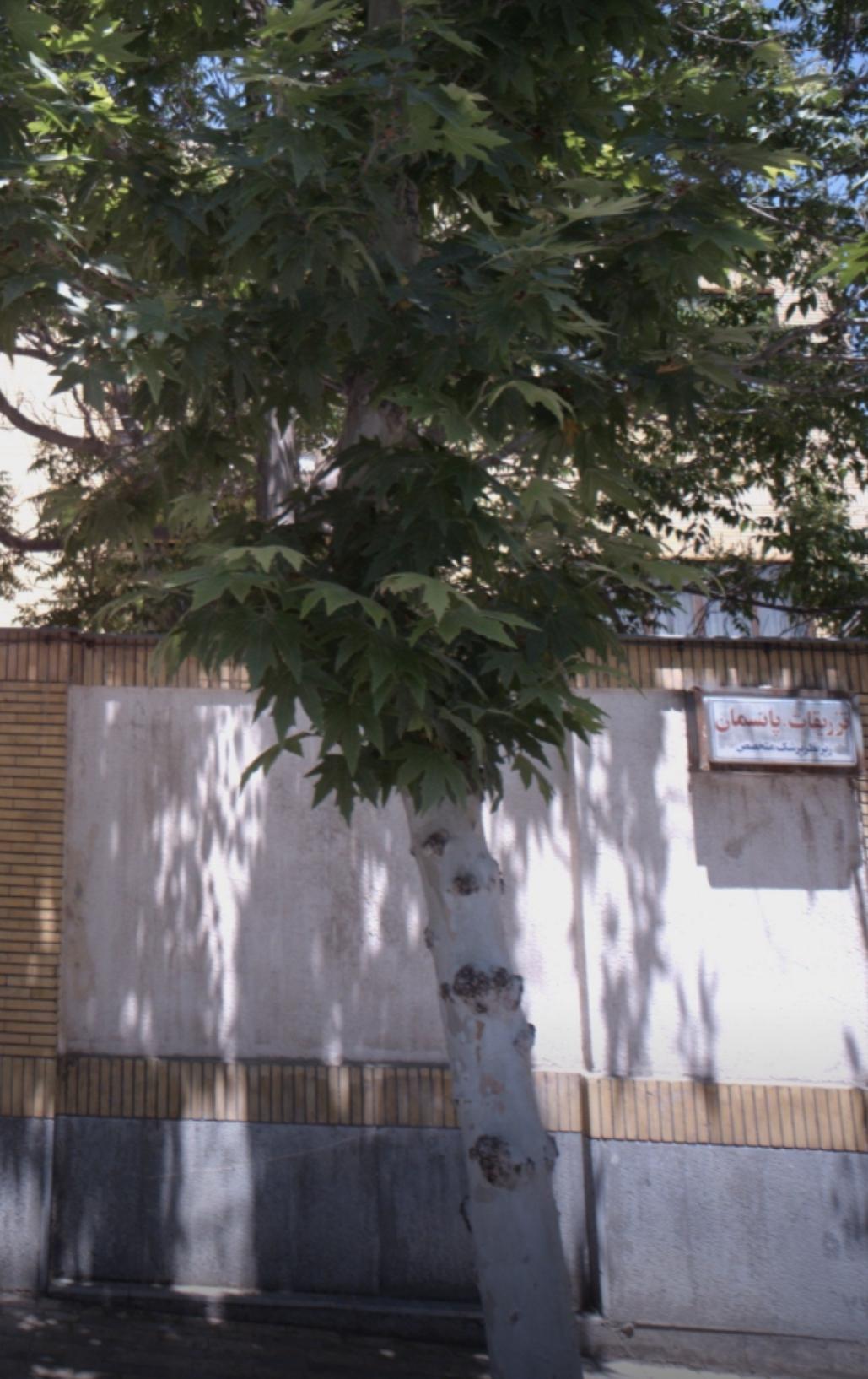 عکس تزریقات و پانسمان