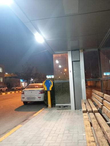 عکس استاد یوسفی 15