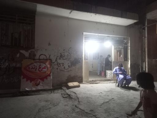 عکس مرغ زنده