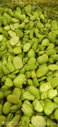 عکس سبزی مارکت نعنا