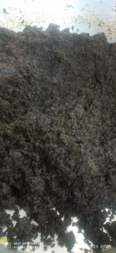 عکس سبزی مارکت نعنا