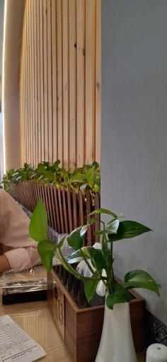 عکس مجموعه غذایی والاد