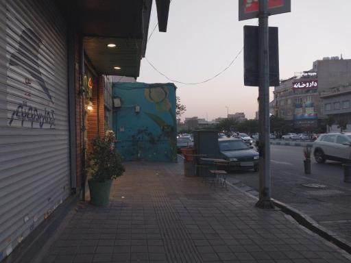 عکس گلدون
