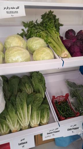 سوپرمارکت هفت رنگ