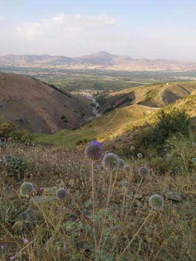 عکس کوه دالامپر