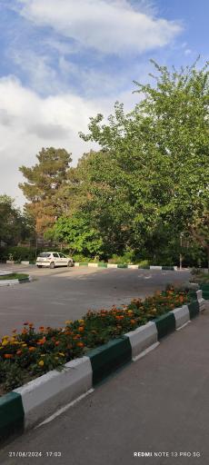 عکس دانشگاه تربیت معلم شهید کامیاب