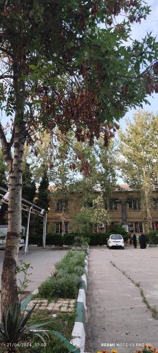 عکس دانشگاه تربیت معلم شهید کامیاب