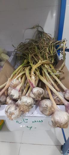 عکس میوه و سوپرمارکت هفت رنگ