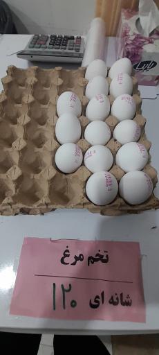 عکس میوه و سوپرمارکت هفت رنگ