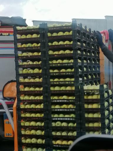 بازار میوه و تره بار ریحان