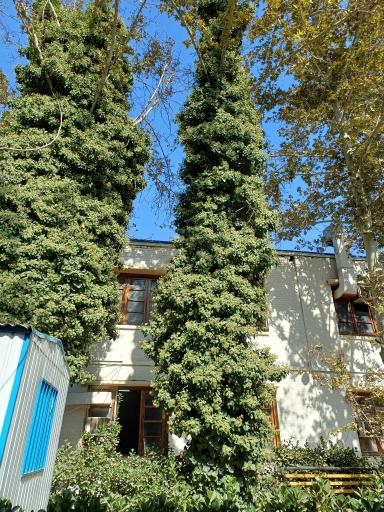 دانشگاه تربیت معلم شهید کامیاب