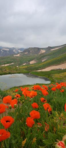 عکس کوه دالامپر