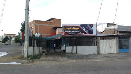 عکس دیتیلینگ لئو