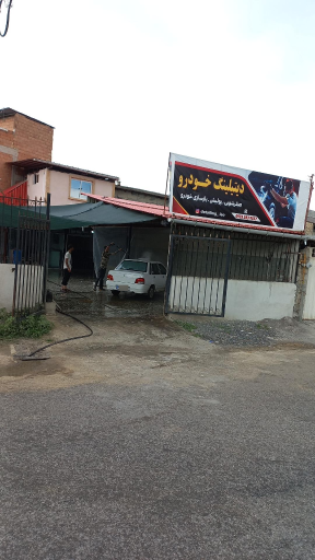 عکس دیتیلینگ لئو