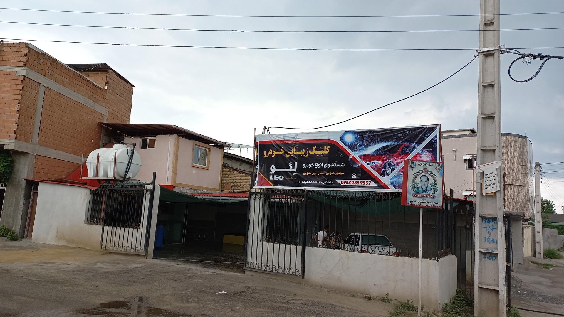 عکس دیتیلینگ لئو