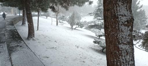 عکس بوستان فاطمیه