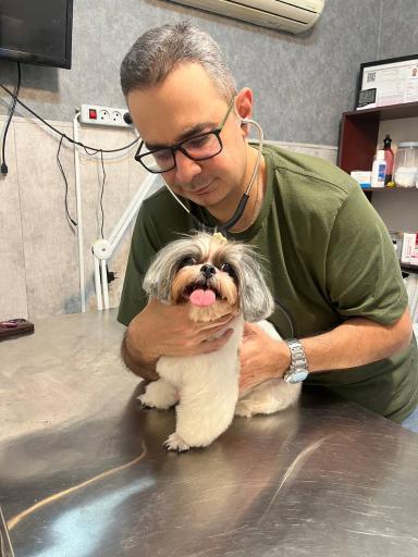 عکس کلینیک دامپزشکی آریکا 