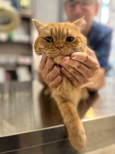 عکس کلینیک دامپزشکی آریکا 