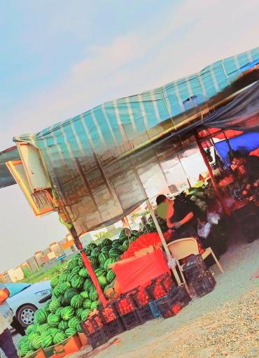عکس میوه فروشی میدان ولایت
