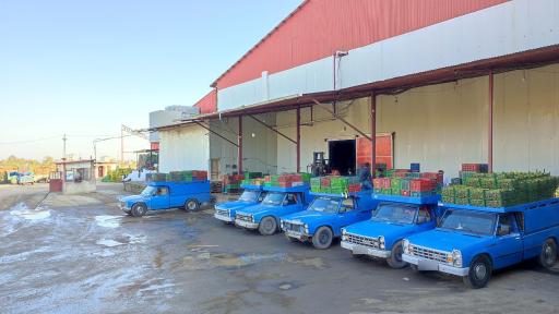 عکس بازرگانی و سردخانه قاسم امینی 