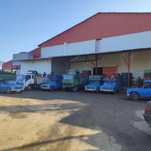 عکس بازرگانی و سردخانه قاسم امینی 