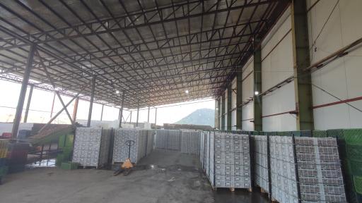 عکس بازرگانی و سردخانه قاسم امینی 