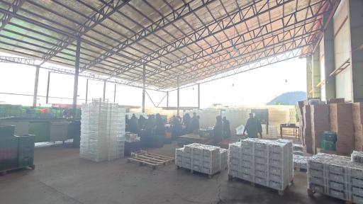 عکس بازرگانی و سردخانه قاسم امینی 