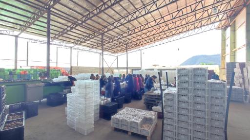 عکس بازرگانی و سردخانه قاسم امینی 